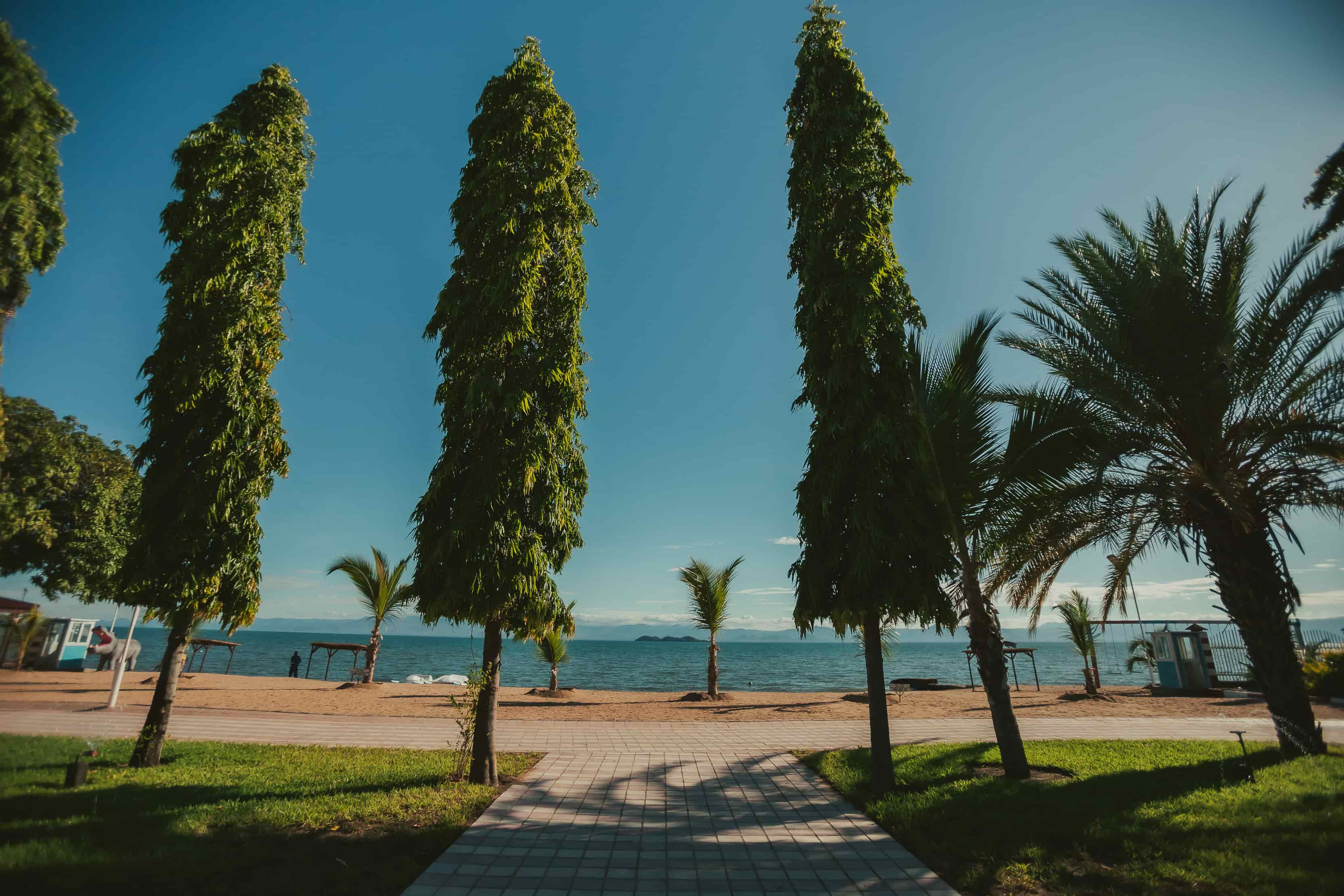 beach view with trees